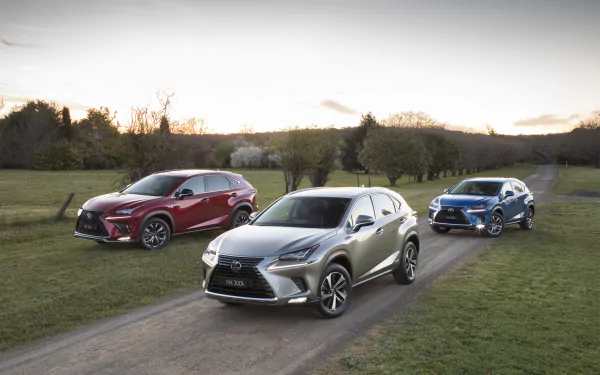 silver car car Lexus vehicle Lexus NX HD Desktop Wallpaper | Background Image