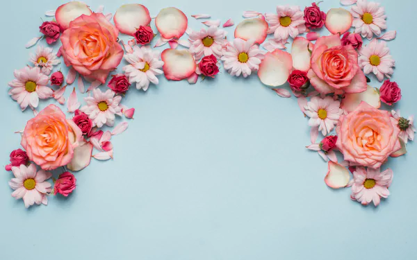 A 4K Ultra HD PC desktop wallpaper featuring an arrangement of man-made rose petals and flowers in soft pink and coral hues against a light blue background.