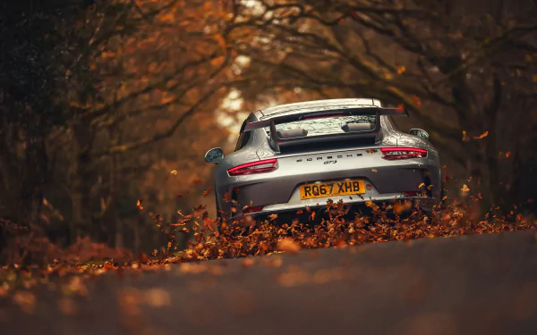 Rear view of a silver Porsche 911 GT3 driving through a leaf-covered forest road in autumn, captured in stunning 4K Ultra HD for a PC desktop wallpaper.
