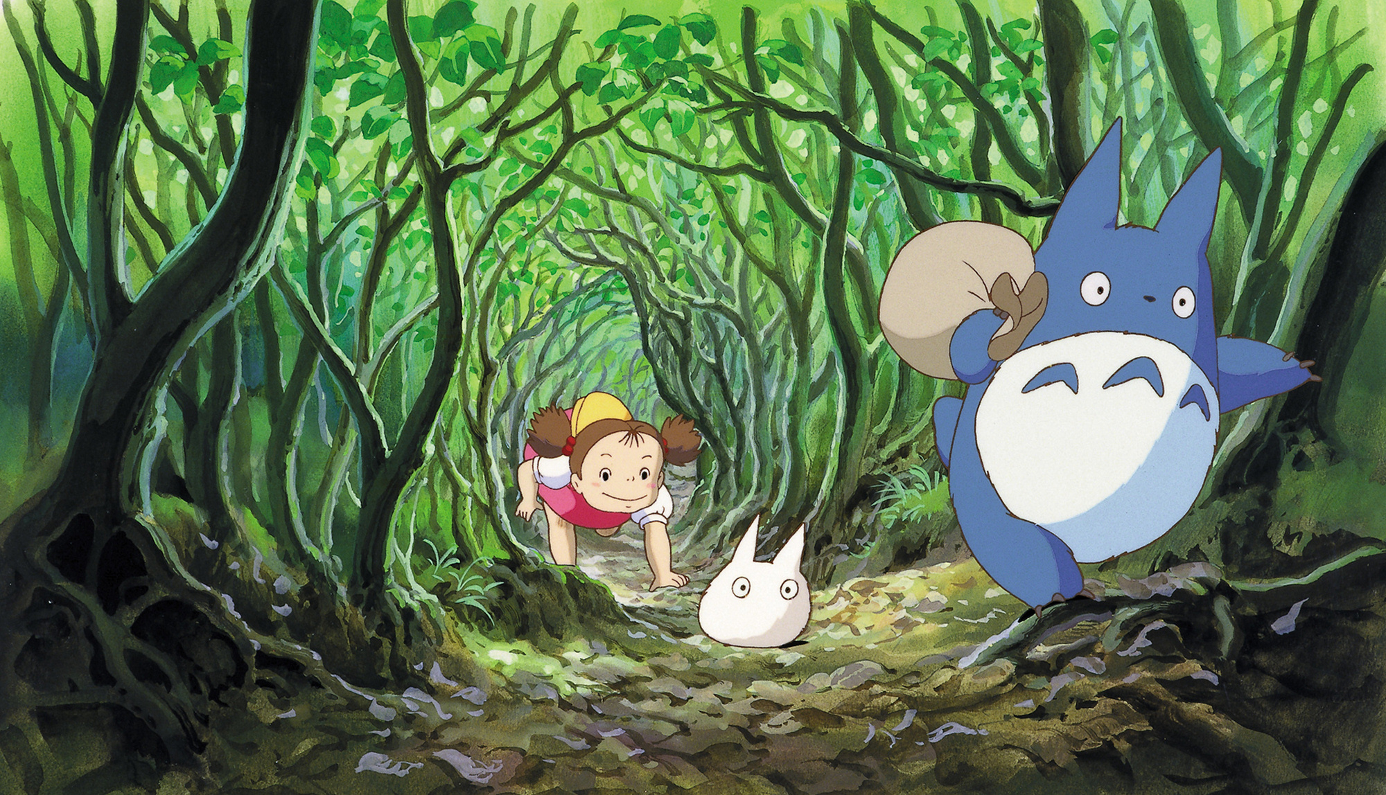 Anime My Neighbor Totoro HD Wallpaper | Background Image