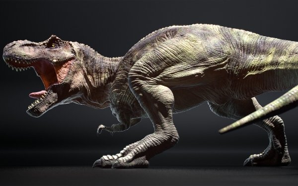 40+ Tyrannosaurus Rex HD Wallpapers | Background Images