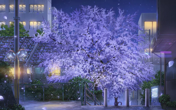 HD anime wallpaper featuring a serene night scene with a blooming cherry blossom tree in an illuminated town setting, embodying the beauty of spring.