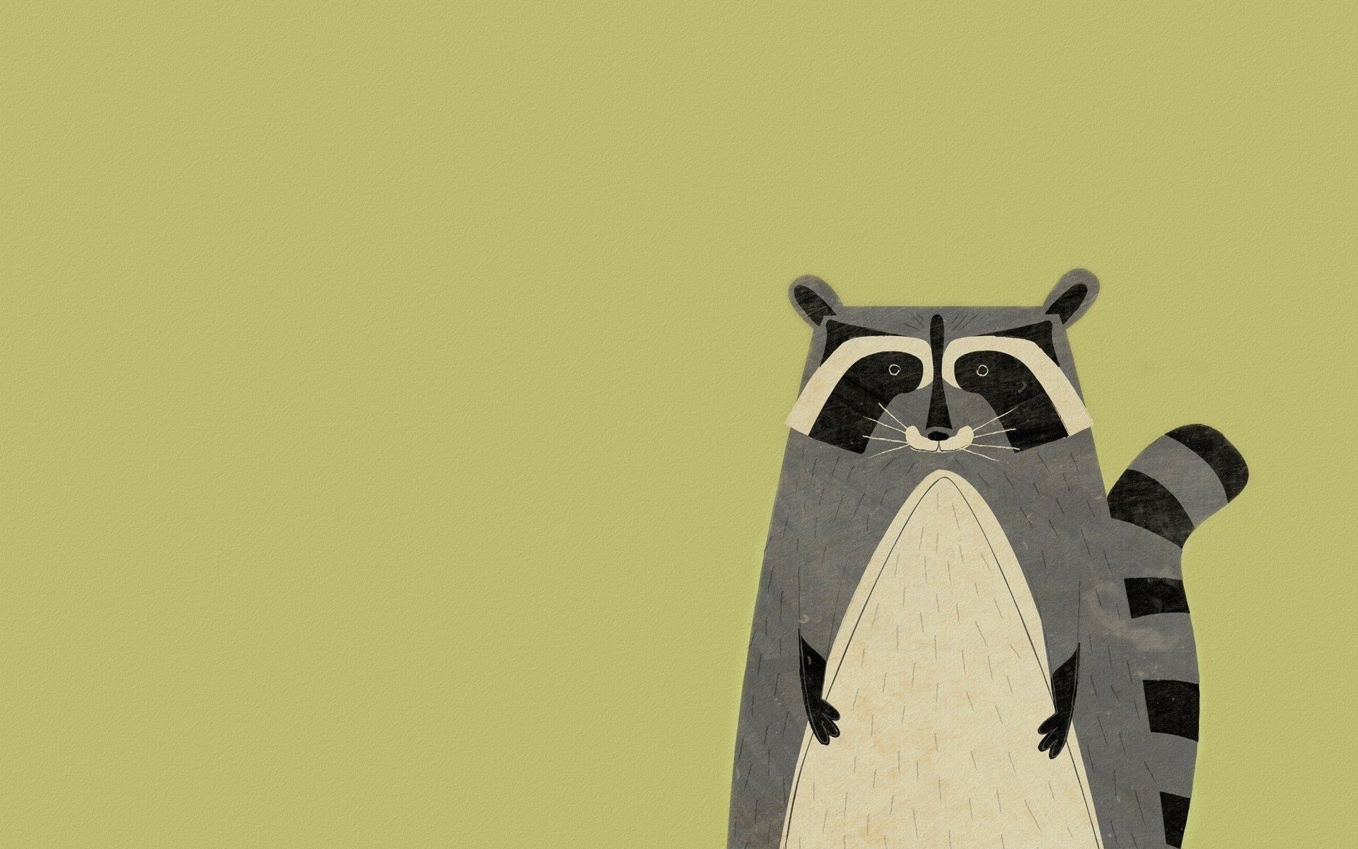 Download Minimalist Animal Raccoon HD Wallpaper