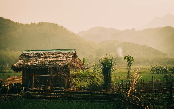 Man Made Farm Hut Rice Paddy Vietnam Mountain HD Wallpaper | Background Image