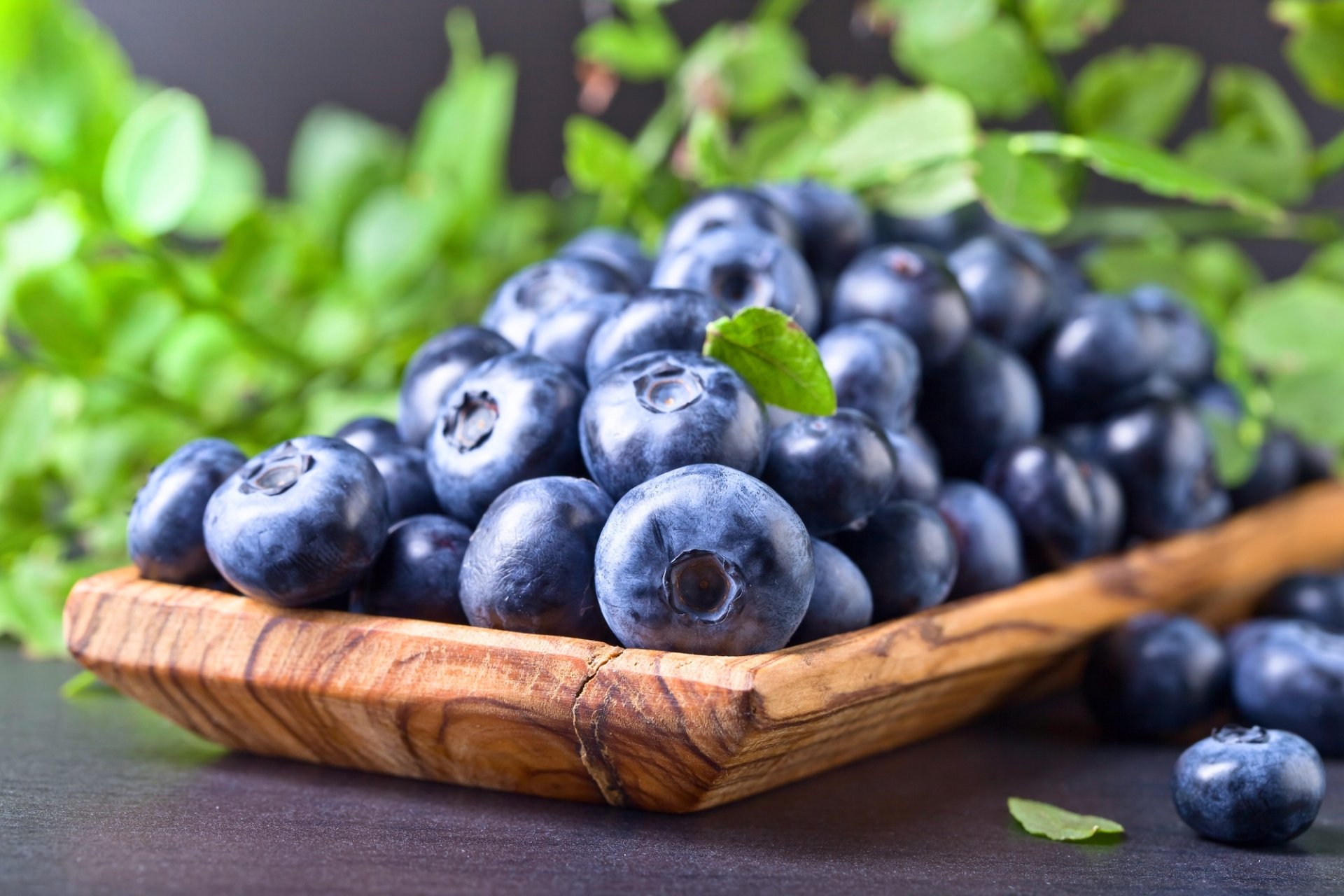 Blueberry HD Wallpaper | Background Image | 2000x1333