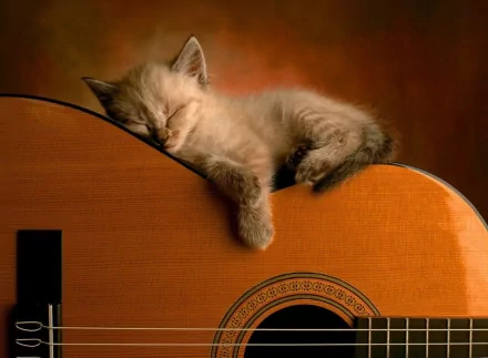 A cute kitten sleeps peacefully on the body of a guitar. The image, featuring a serene and cozy scene, is a high-definition desktop wallpaper and background.