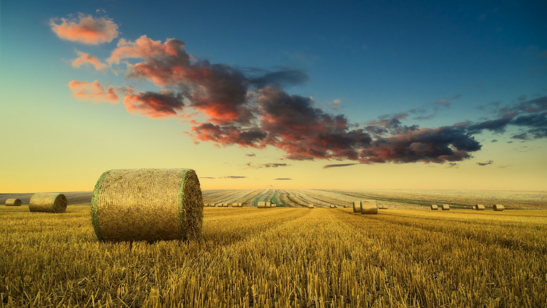 Download Horizon Field Cloud Sky Summer Nature Haystack HD Wallpaper ...
