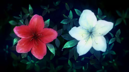 4K Ultra HD PC desktop wallpaper/background, Beyond the Boundary anime: a red and a white flower bloom side by side among glossy green leaves in delicate anime style.