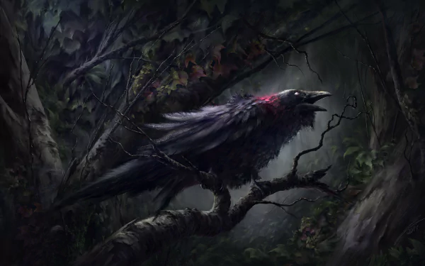 bird Animal raven HD Desktop Wallpaper | Background Image
