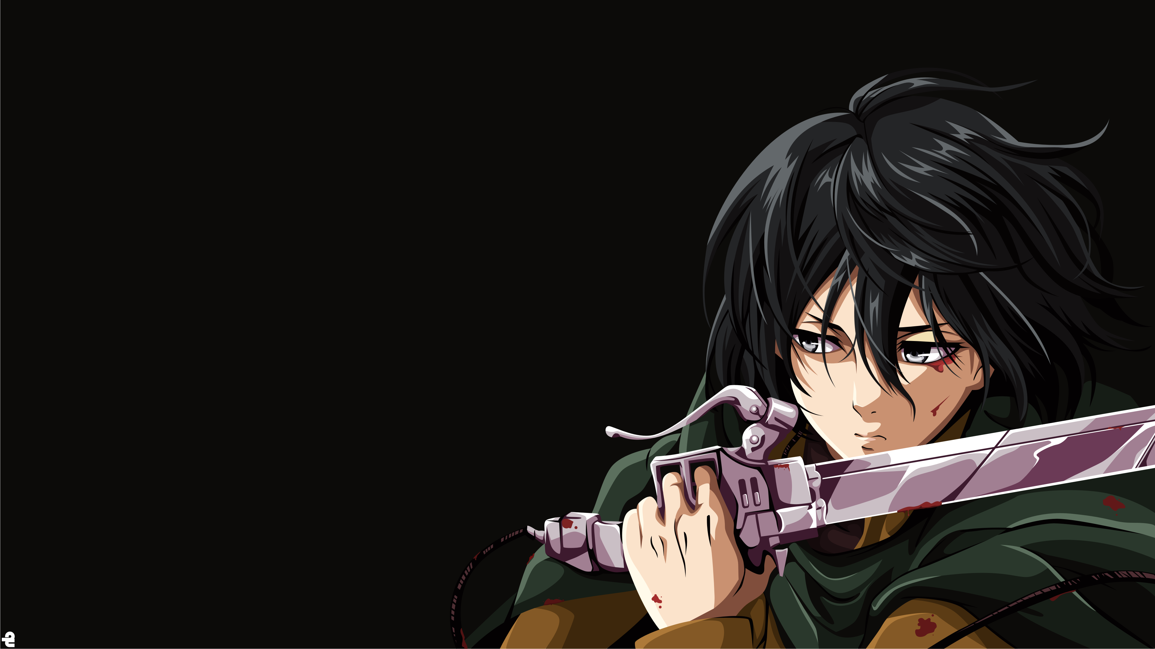 Wallpaper : Shingeki no Kyojin, Mikasa Ackerman, Shingeki no