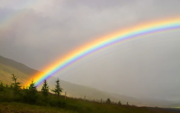 HD desktop wallpaper featuring a vibrant rainbow arching over a misty natural landscape with hills and evergreen trees.
