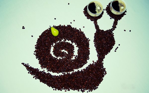 Food Coffee Cup Snail Coffee Beans HD Wallpaper | Background Image