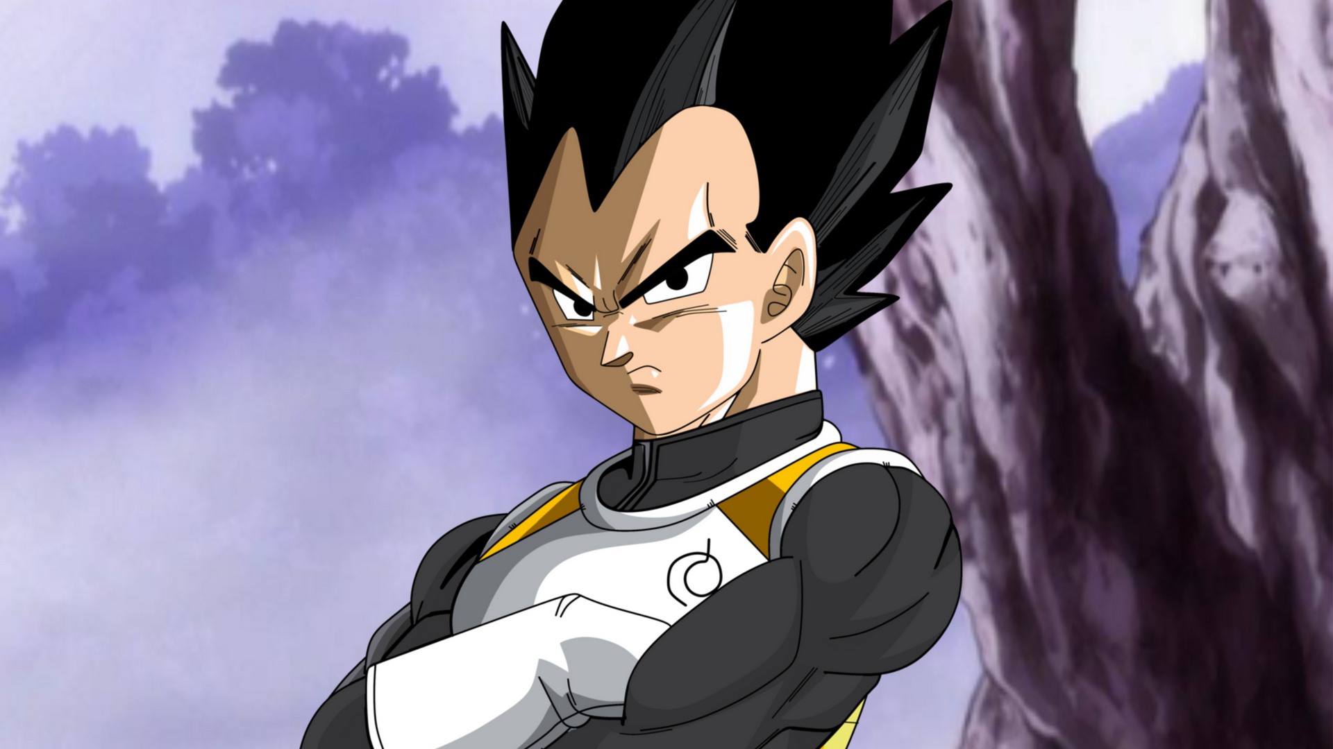Vegeta Dragon Ball Super HD Wallpaper Epic Anime Saiyan Power