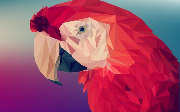 Abstract Facets Parrot Bird Low Poly Polygon HD Wallpaper | Background Image