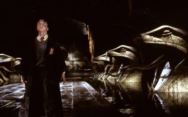Harry Potter Daniel Radcliffe movie Harry Potter and the Chamber of Secrets HD Desktop Wallpaper | Background Image