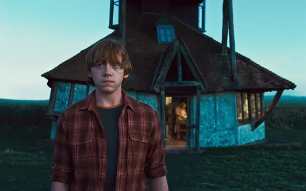 Ron Weasley movie Harry Potter and the Deathly Hallows: Part 1 HD Desktop Wallpaper | Background Image