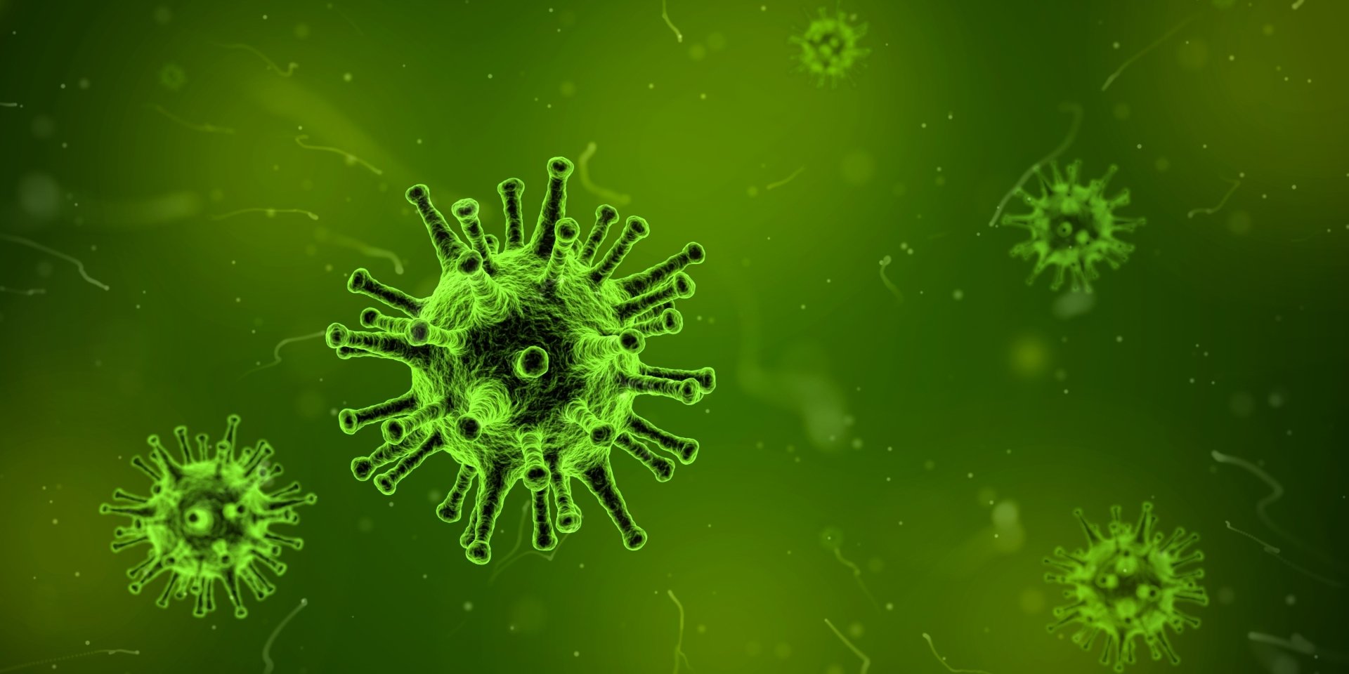Download Green Artistic Bacteria HD Wallpaper by Arek Socha