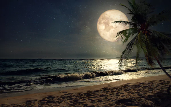 4K Ultra HD wallpaper showcasing a serene beach at night with waves, a glowing full moon, and a silhouetted palm tree under a starry sky.