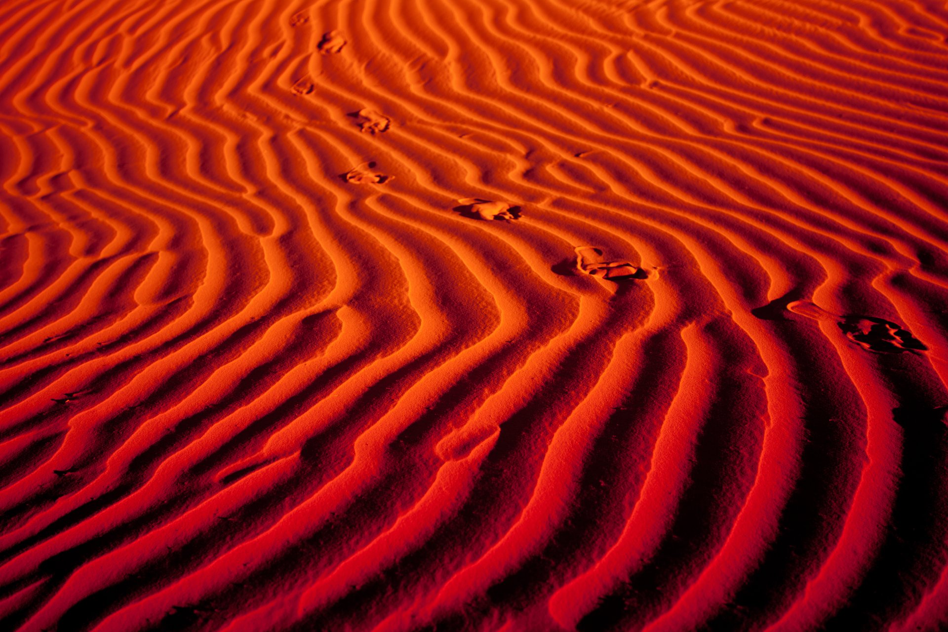 Download Footprint Orange (Color) Algeria Africa Sand Dune Sahara Sand Nature Desert 4k Ultra HD Wallpaper