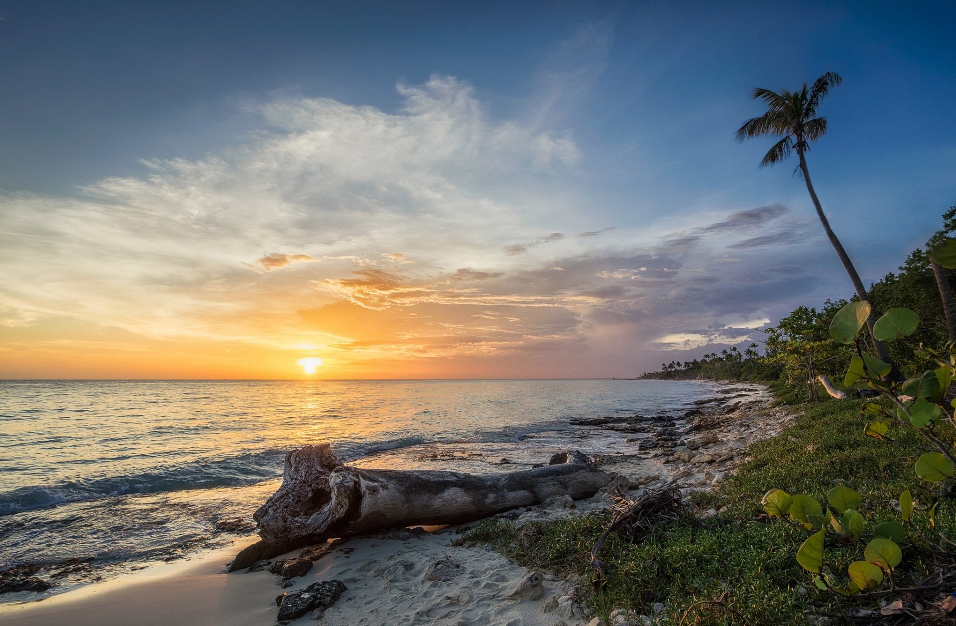 Download Sunrise Beach Horizon Nature Ocean HD Wallpaper