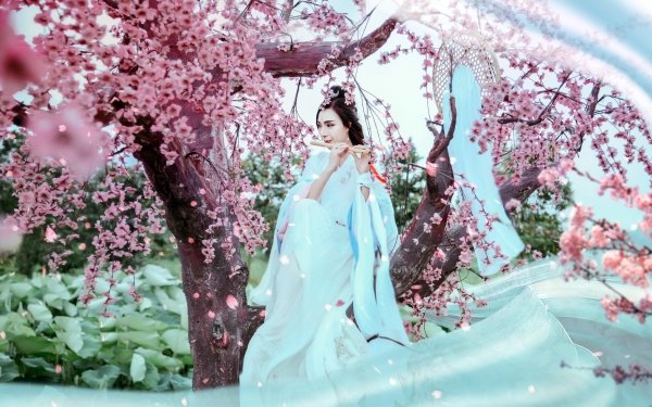 Women Asian Model Blossom Flute Brunette Kimono HD Wallpaper | Background Image