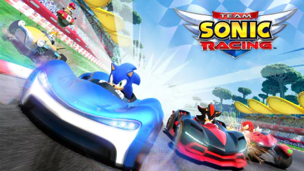 HD wallpaper of Team Sonic Racing featuring Sonic in a blue car leading a fast-paced race.
