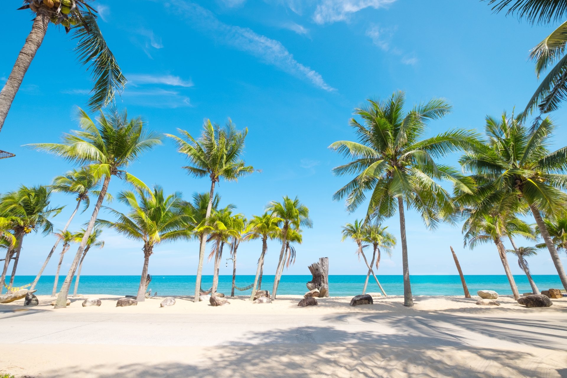 Download Tropical Horizon Sky Ocean Palm Tree Sand Nature Beach Tree 4k ...