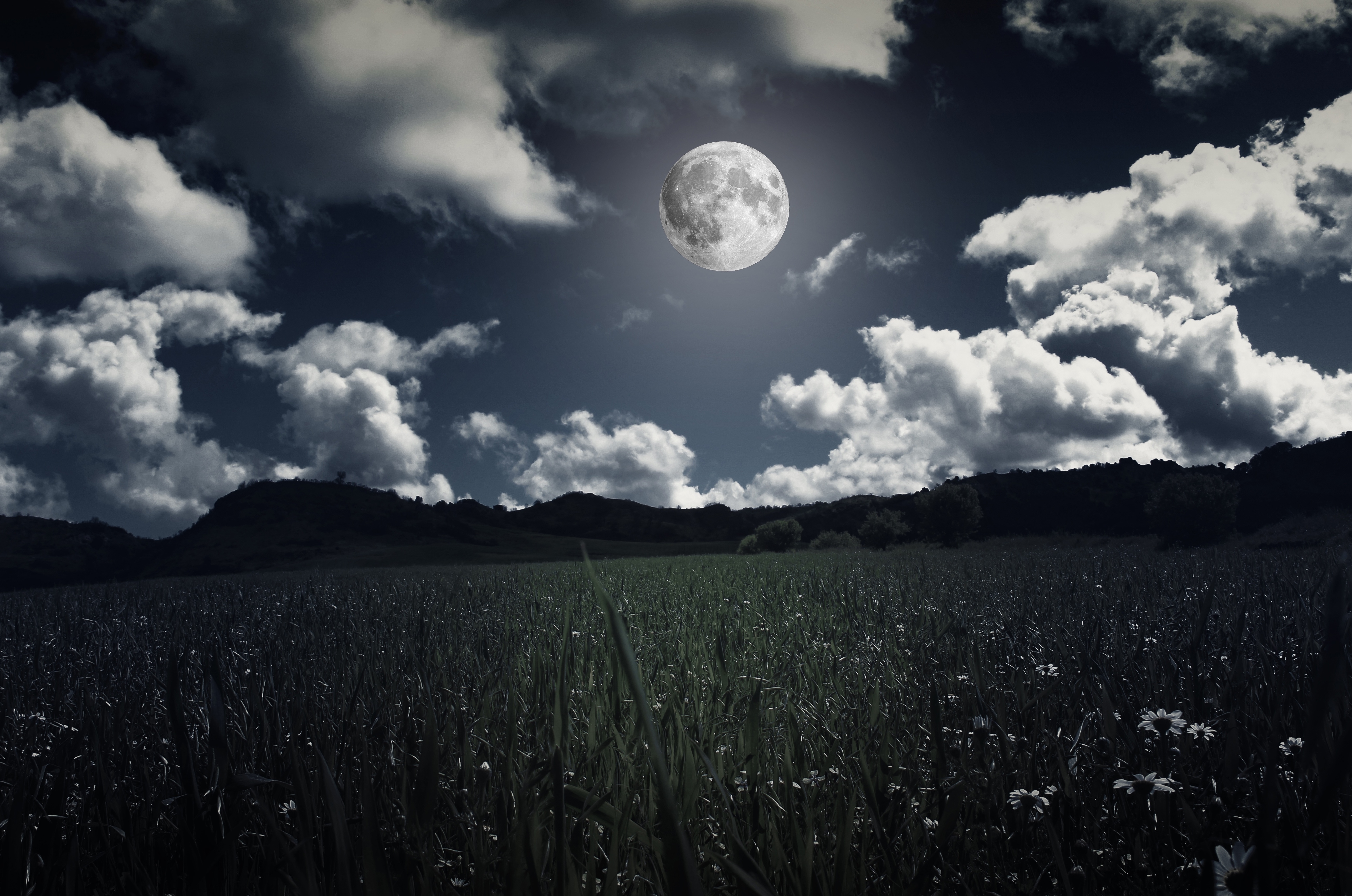 Download Sky Nature Cloud Field Night Moon 4k Ultra HD Wallpaper