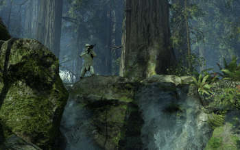 10 Endor Star Wars Hd Wallpapers Background Images