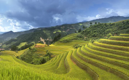 5K Ultra HD PC desktop wallpaper: sweeping nature landscape of man-made rice terraces and terraced fields curving across verdant hills under a dramatic cloudy sky.