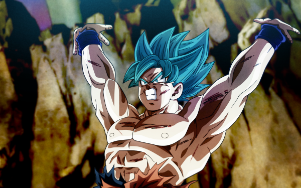 Anime Dragon Ball Super Dragon Ball Goku Super Saiyan Blue HD Wallpaper | Background Image