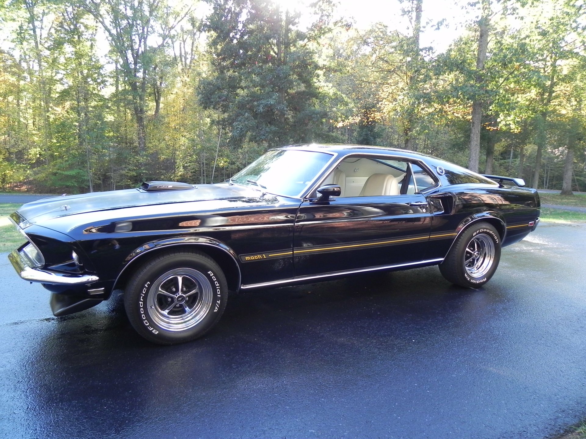 Download Car Black Car Muscle Car Fastback Vehicle Ford Mustang Mach 1 ...