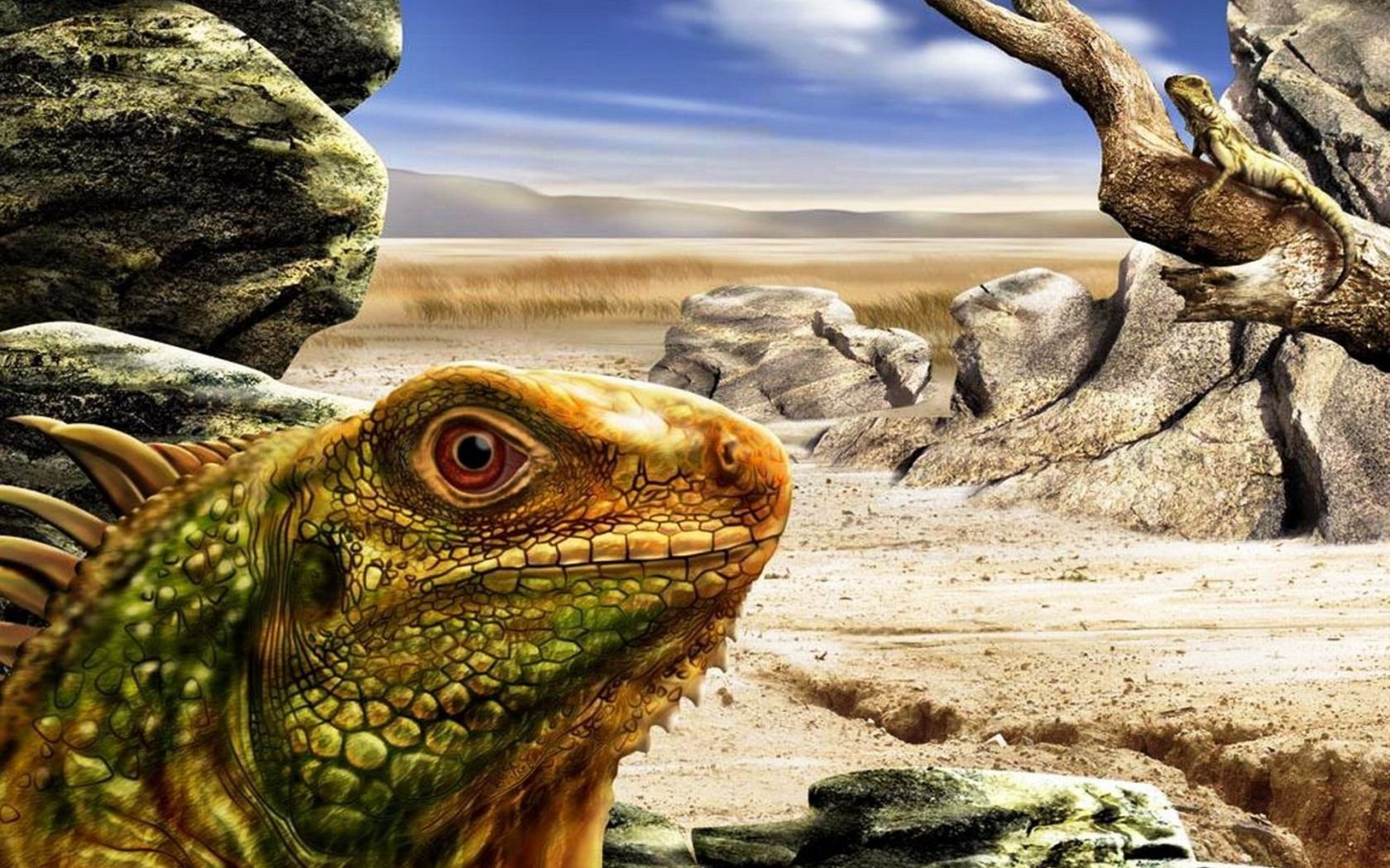 HD PC desktop wallpaper featuring a detailed close-up of a green iguana in a rocky desert landscape under a cloudy sky.