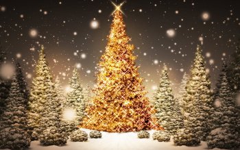 4200 Christmas Hd Wallpapers Background Images