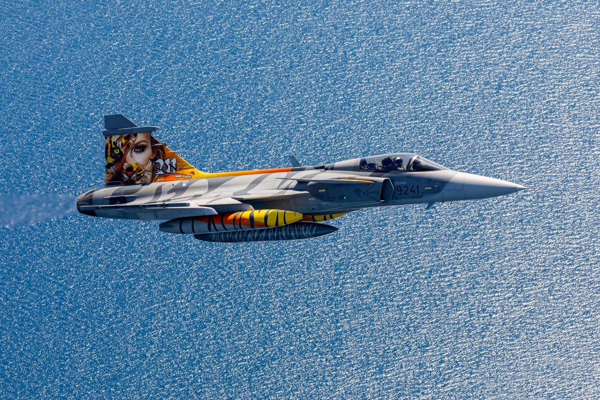 Download Warplane Aircraft Jet Fighter Military Saab JAS 39 Gripen HD Wallpaper