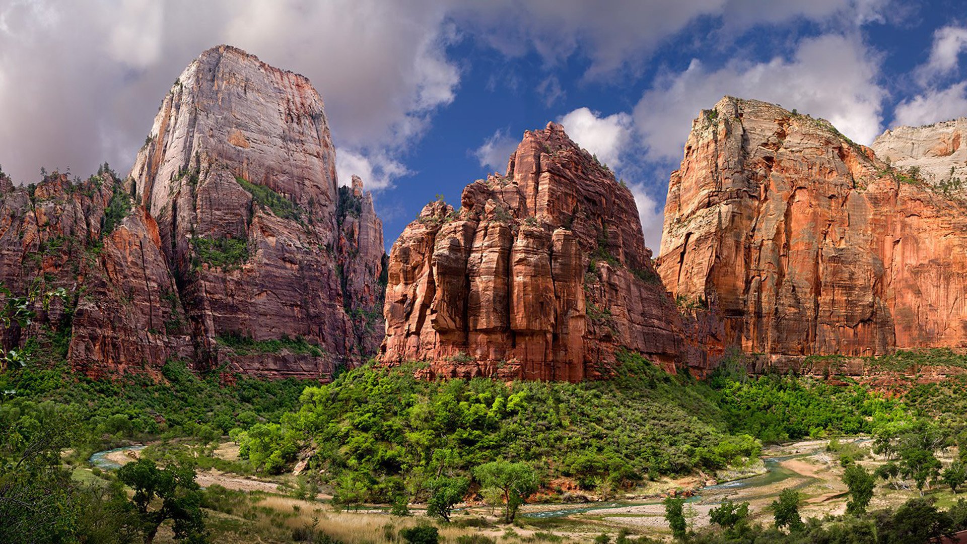 Download Cliff Tree Mountain Canyon Nature Zion National Park HD Wallpaper