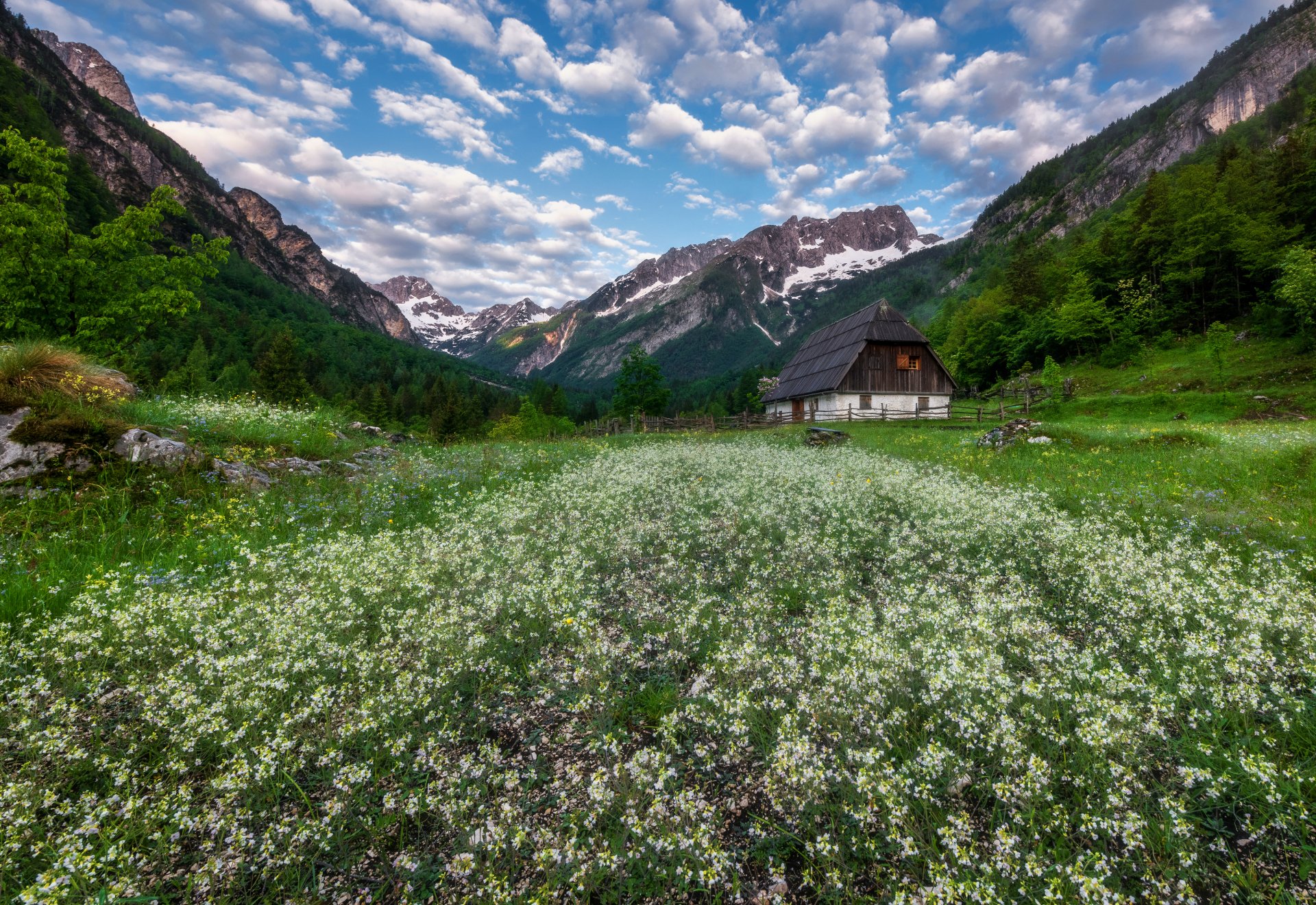 швейцария луга