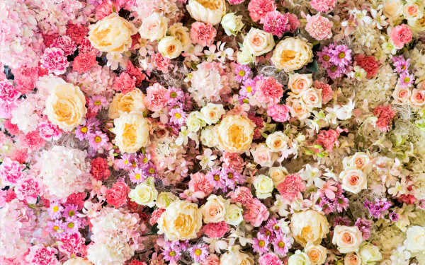 5K Ultra HD PC desktop wallpaper of pastel-colored blossoms: roses, peonies, carnations, daisies and white and pink flowers in a lush nature background.