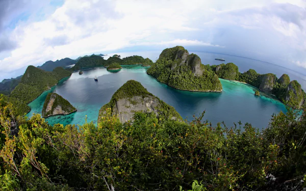 Fisheye HD desktop wallpaper of tropical Indonesian limestone islands and turquoise sea, tree-framed foreground and distant horizon in wide-angle landscape photography.