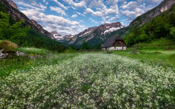 Man Made House Cottage Meadow Spring Flower Mountain HD Wallpaper | Background Image