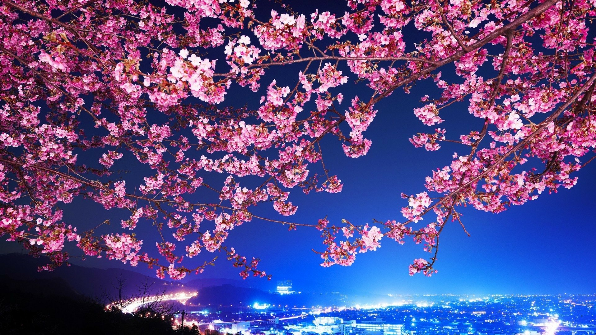 Featured image of post Sakura Blossom Wallpaper 1920X1080 1920x1080 sakura naruto and sasuke anime wallpaper naruto wallpapers and backgrounds and download them on all your