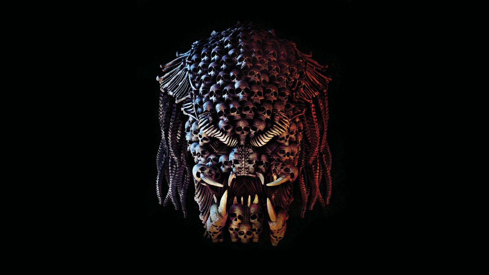 download predator 04 download predator 04