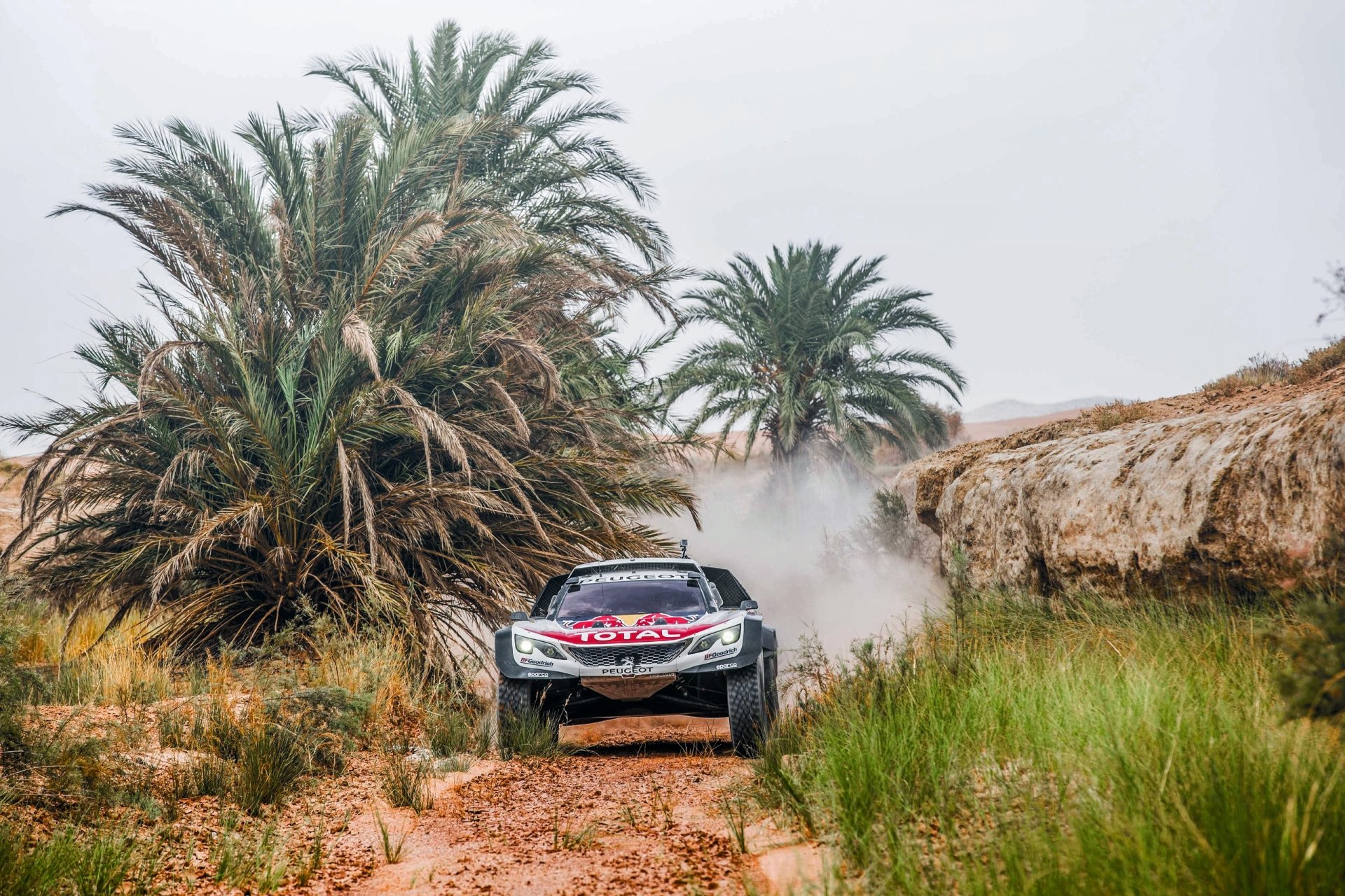 HD desktop wallpaper featuring a Peugeot rally car speeding through a rugged, sandy track surrounded by palm trees, capturing dynamic sports rally action.