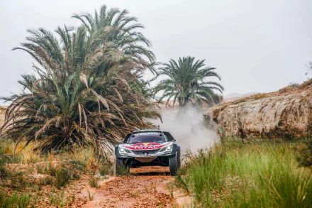 HD desktop wallpaper featuring a Peugeot rally car speeding through a rugged, sandy track surrounded by palm trees, capturing dynamic sports rally action.