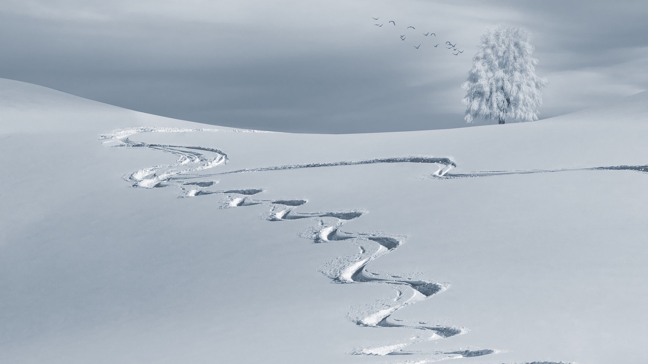 Ski Tracks in the Snow by composita