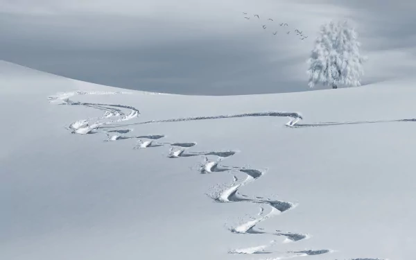 Flock of birds flying over a snowy winter landscape with a single tree and winding tracks in the pristine snow, captured in HD for a desktop background.