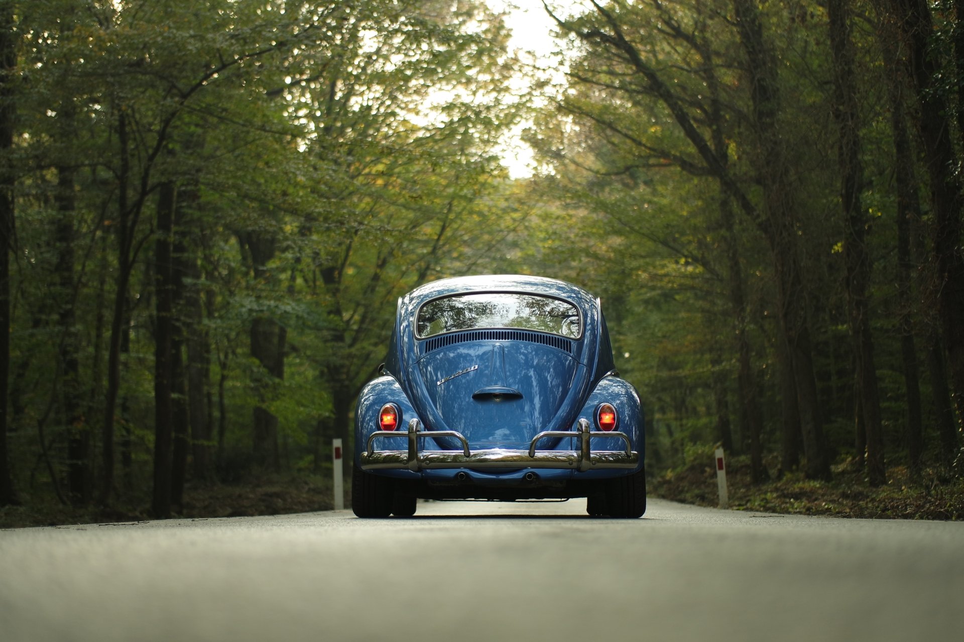 Download Road Car Vehicle Volkswagen Beetle 4k Ultra HD Wallpaper