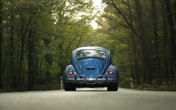  1974 Volkswagen Beetle 1200