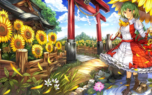 Yuuka Kazami Anime Touhou HD Desktop Wallpaper | Background Image