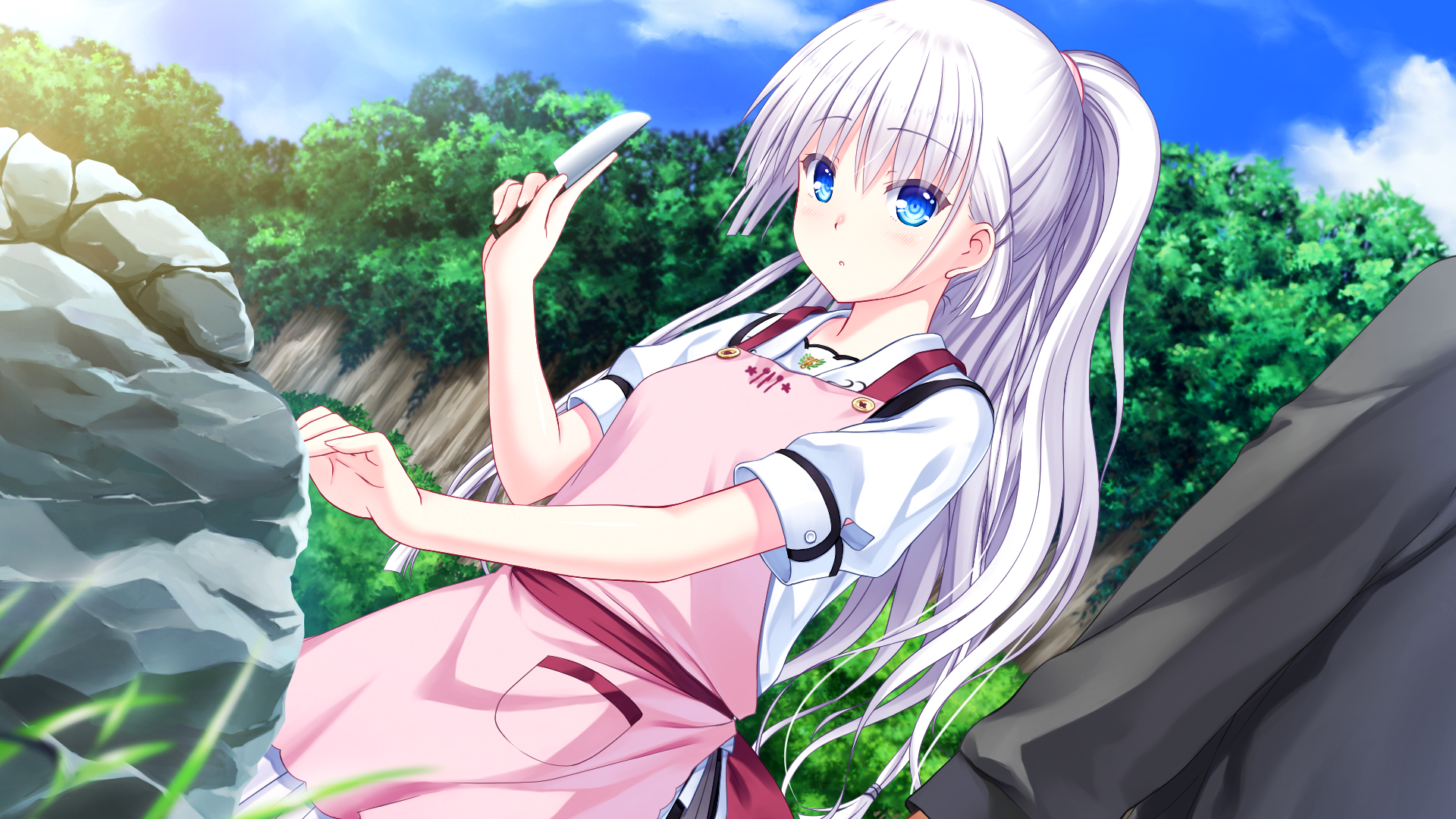 download summer pockets pc for free